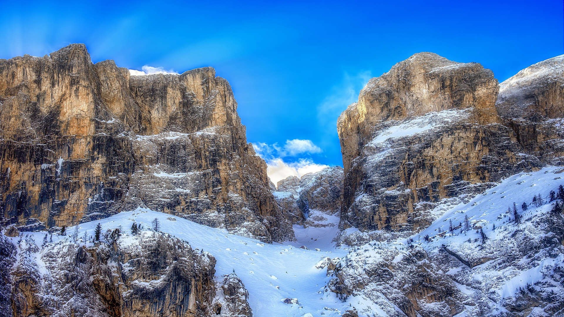 埃及队2024年世界杯表现：向世界强队发起挑战，埃及进军世界杯